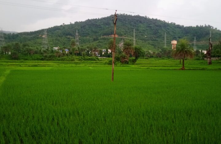 Ajodhya Hill