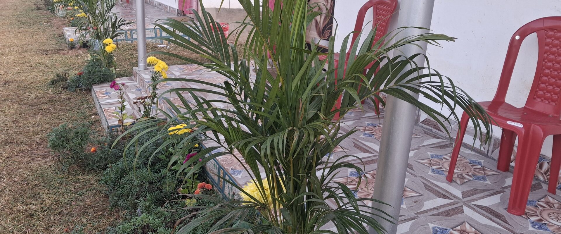 RISING RESORT OUTLOOK