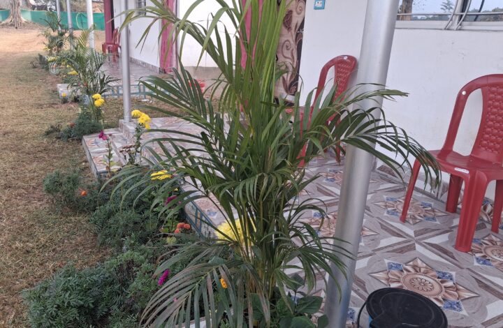 RISING RESORT OUTLOOK