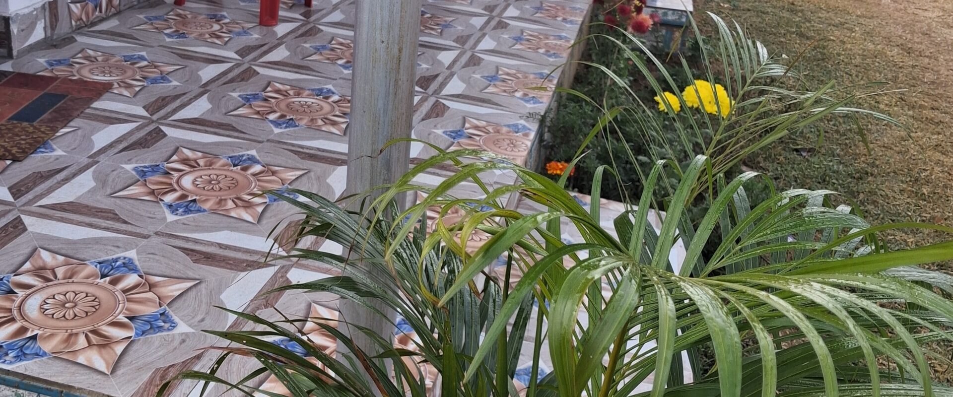 RISING RESORT OUTLOOK