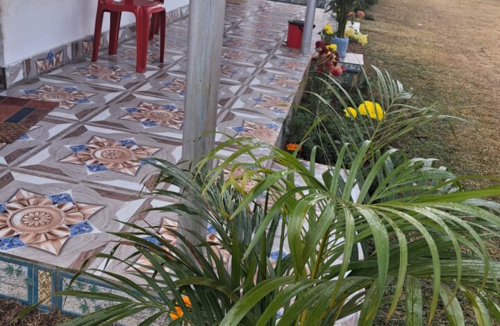 RISING RESORT OUTLOOK